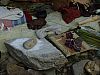 DSC05783.jpg